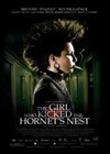 The Girl Who Kicked the Hornets Nest (2009).jpg